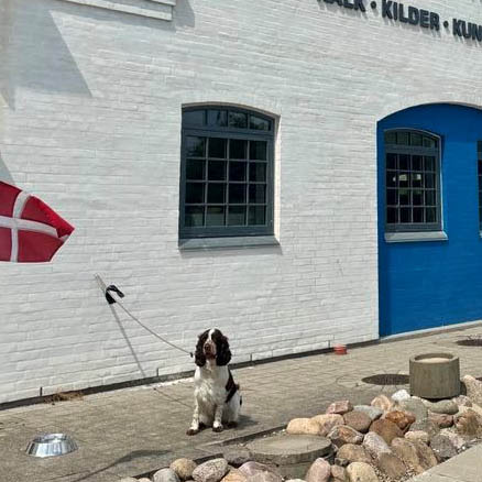 Vi ønsker ikke hunde i Rebildcentrets udstillingsbygninger. Derfor har vi en hunde P-plads ved indgangen.